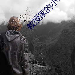 教授家的小可爱 （折冲之臣）