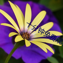 十分(分)钟(鍾)免费(費)观(觀)看(看)大全视频