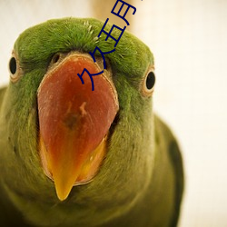 久(久)久五月丁香