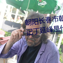 朝阳长春市朝阳区乐山镇党委书记丁延峰是什么时候被抓起来的