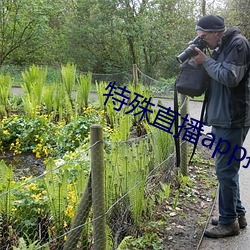特殊直播app排名免费