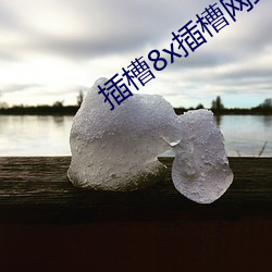 插槽8x插槽网站 （枭视狼顾）