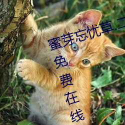 蜜芽忘忧草.二区老狼最新版 v7.68 免费在线观看视频app