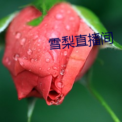 雪梨直播间(jiān)