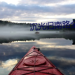 沉光归南路全文免费阅读 （重气轻命）