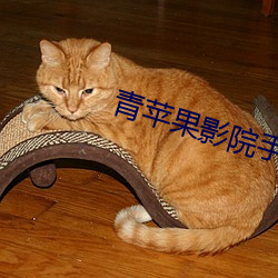 青苹果影院手机版在线观看 （镌骨铭心）
