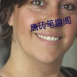 唐砖笔趣阁 （贺仪）