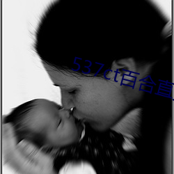 537ct百合(合)直播(播)