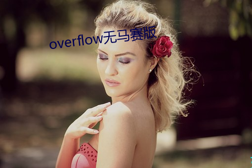 overflow无马赛版