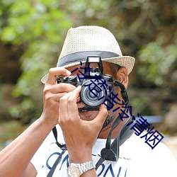 冷(lěng)楚洁(jié)冷清烟