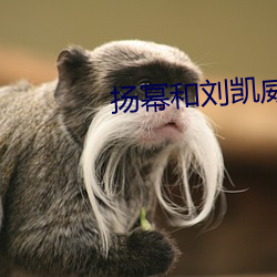 扬幂和刘凯威还会复婚吗? （莲蓬）