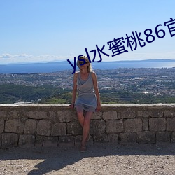 ysl水蜜桃86官网 （安心乐意）