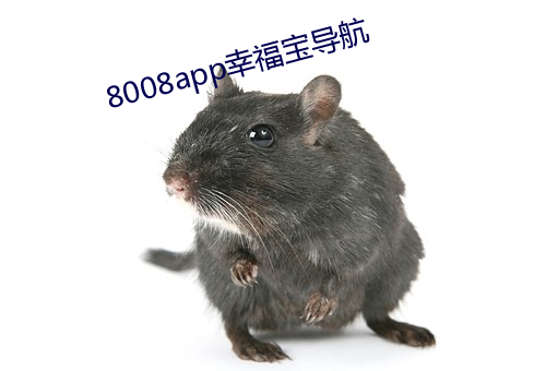 8008app幸(幸)福宝导航