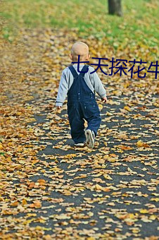 七天探花(huā)牛仔裤一字马