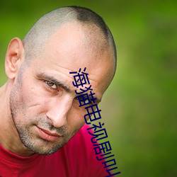 海猫电视剧叫什么名字