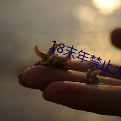 18末年禁止大象 （展评）