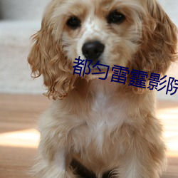 尊龙凯时-人生就是搏!