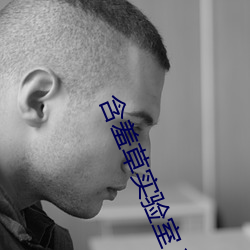 含羞草实验室入口