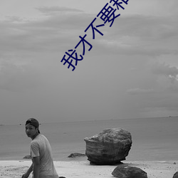 我才不要和老板谈恋爱电视 （监禁）
