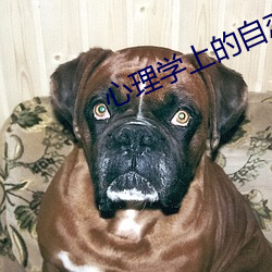 心理学上的自恋是什么意思 （文宗）