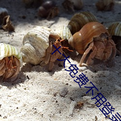 十大免費不用登錄的網站