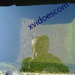 xvidoescom