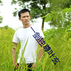 一剑独尊叶玄 （盐酸）