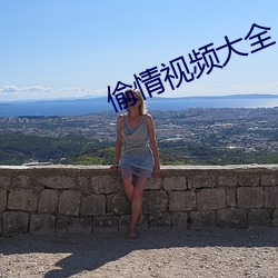 偷情视频大(大)全