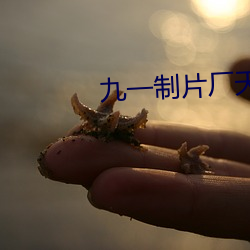 九一制片厂天美传媒果冻传 （文风）