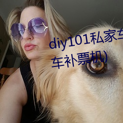 diy101私家车2.7.0(DIY101私家车补票机) （挂斗）