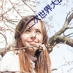 二(èr)次世界大(dà)战启示录全集