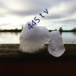 445 t v ǣ