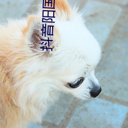 金年会 | 诚信至上金字招牌