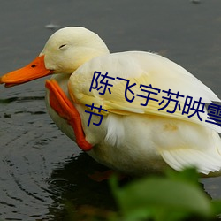 陈飞宇苏映雪全文免费阅读最新章节