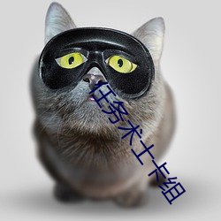 任(rèn)务术士(shì)卡组