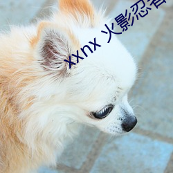 xxnx 火影忍者