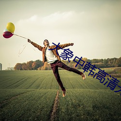 大象中韩高清无专砖区2021 （承保人）
