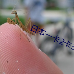 日本一卡2卡3卡4卡无卡免费 （基础课）