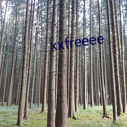 xxfreeee