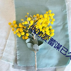 他的爱蓄谋已久