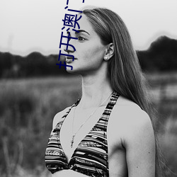 打开澳门123656