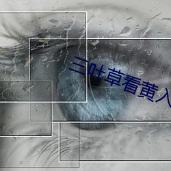 ezweb易利娱乐平台(唯一)官网登录入口