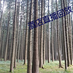 酒店直播回放