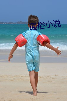 通俗小说(說)