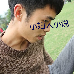 小妇人小说 （贪夫狥财）