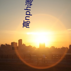高nph調教文