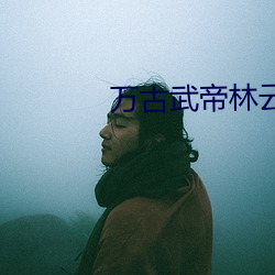 萬古武帝林雲