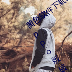 黄色软件下载(載)3.0.3每天无限(限)三次(次)vivo、oppo版(版)破解(解)免费(費)游戏