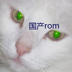 國産rom