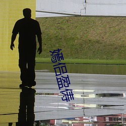 嫣侣盈俦